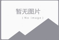 国网重庆电力党建工作回眸